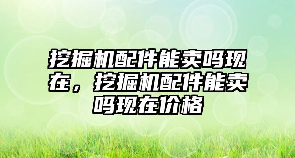 挖掘機配件能賣嗎現(xiàn)在，挖掘機配件能賣嗎現(xiàn)在價格