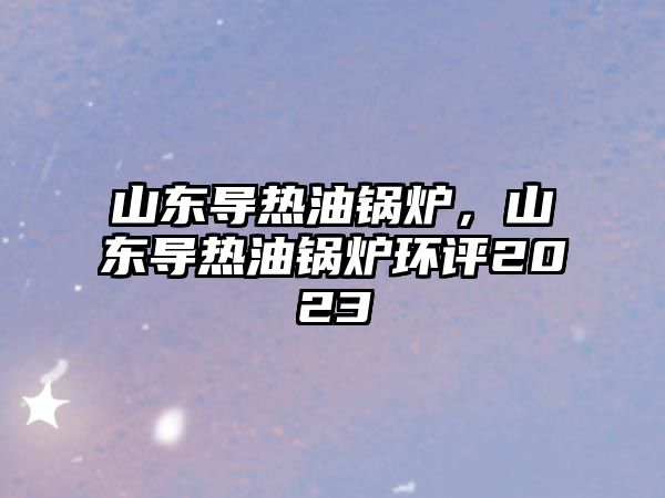 山東導(dǎo)熱油鍋爐，山東導(dǎo)熱油鍋爐環(huán)評2023