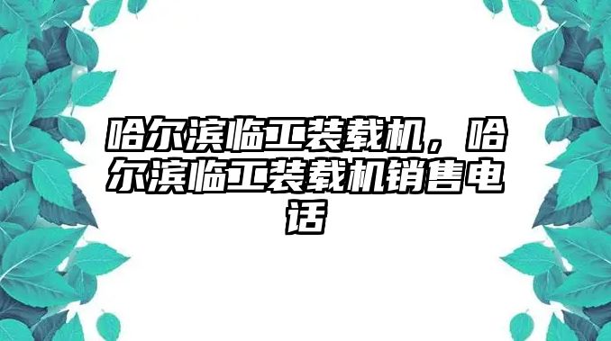 哈爾濱臨工裝載機(jī)，哈爾濱臨工裝載機(jī)銷售電話