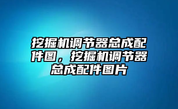 挖掘機(jī)調(diào)節(jié)器總成配件圖，挖掘機(jī)調(diào)節(jié)器總成配件圖片