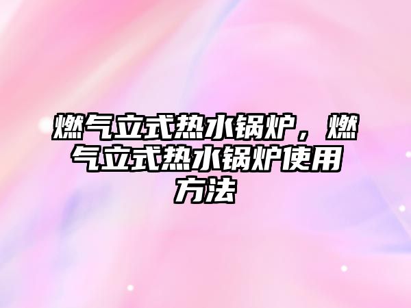 燃?xì)饬⑹綗崴仩t，燃?xì)饬⑹綗崴仩t使用方法