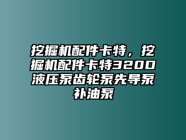 挖掘機(jī)配件卡特，挖掘機(jī)配件卡特320D液壓泵齒輪泵先導(dǎo)泵補(bǔ)油泵