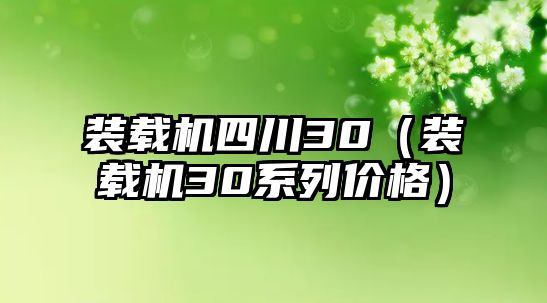 裝載機(jī)四川30（裝載機(jī)30系列價格）