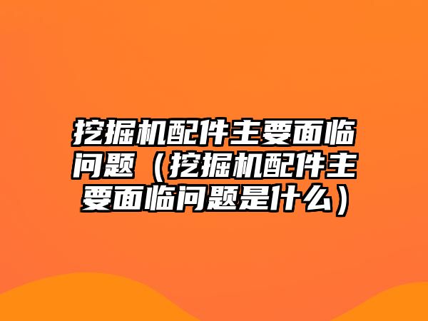 挖掘機配件主要面臨問題（挖掘機配件主要面臨問題是什么）