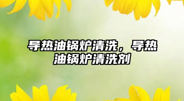 導(dǎo)熱油鍋爐清洗，導(dǎo)熱油鍋爐清洗劑