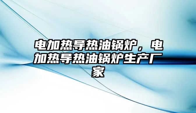 電加熱導(dǎo)熱油鍋爐，電加熱導(dǎo)熱油鍋爐生產(chǎn)廠家