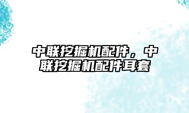 中聯(lián)挖掘機配件，中聯(lián)挖掘機配件耳套