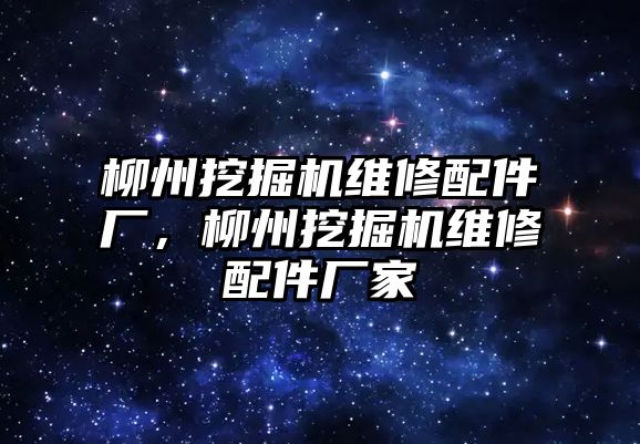 柳州挖掘機(jī)維修配件廠，柳州挖掘機(jī)維修配件廠家