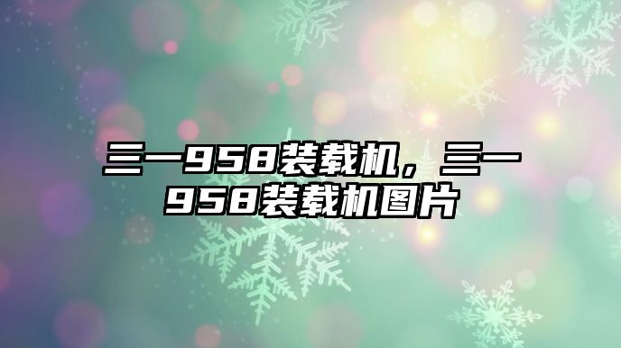 三一958裝載機(jī)，三一958裝載機(jī)圖片