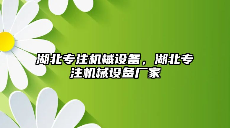 湖北專注機(jī)械設(shè)備，湖北專注機(jī)械設(shè)備廠家