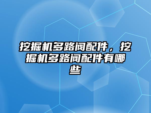 挖掘機(jī)多路閥配件，挖掘機(jī)多路閥配件有哪些