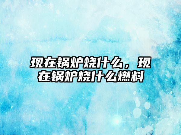 現(xiàn)在鍋爐燒什么，現(xiàn)在鍋爐燒什么燃料