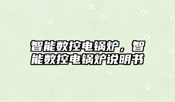 智能數(shù)控電鍋爐，智能數(shù)控電鍋爐說明書