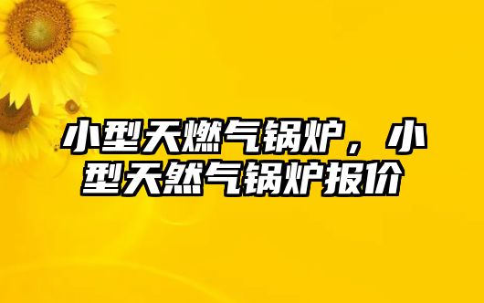 小型天燃氣鍋爐，小型天然氣鍋爐報價