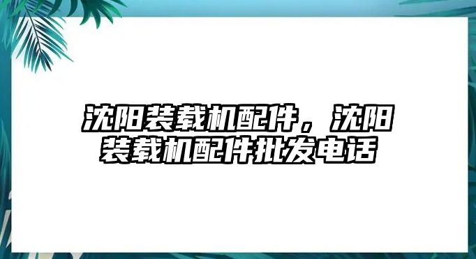 沈陽裝載機配件，沈陽裝載機配件批發(fā)電話