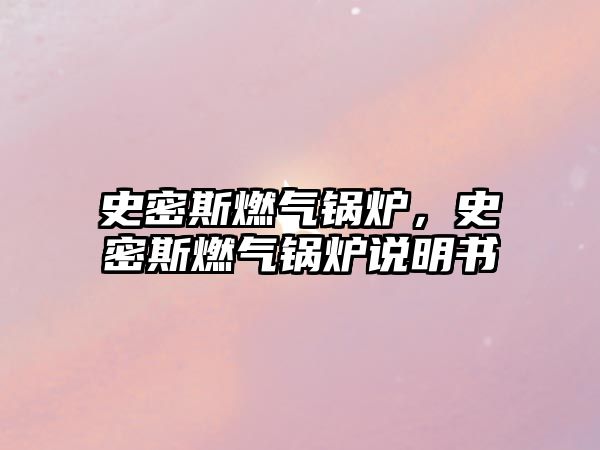 史密斯燃?xì)忮仩t，史密斯燃?xì)忮仩t說明書