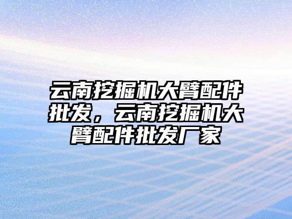 云南挖掘機大臂配件批發(fā)，云南挖掘機大臂配件批發(fā)廠家