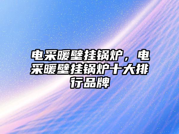 電采暖壁掛鍋爐，電采暖壁掛鍋爐十大排行品牌