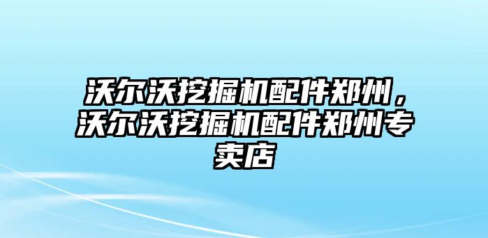 沃爾沃挖掘機(jī)配件鄭州，沃爾沃挖掘機(jī)配件鄭州專賣店