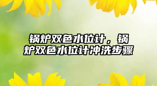 鍋爐雙色水位計(jì)，鍋爐雙色水位計(jì)沖洗步驟