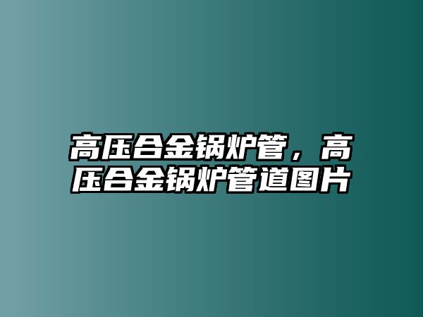 高壓合金鍋爐管，高壓合金鍋爐管道圖片