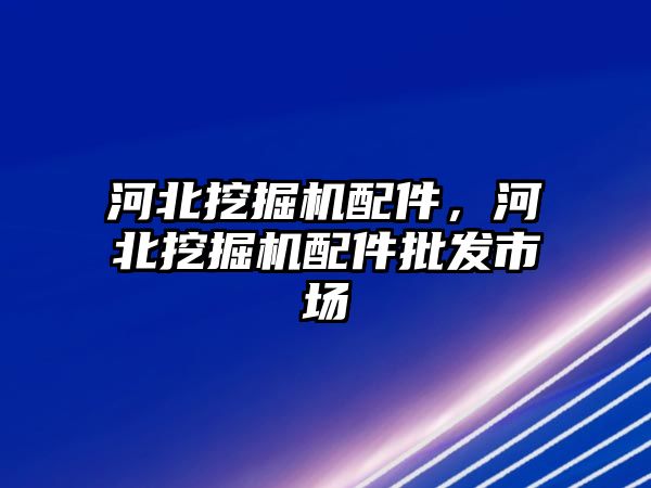 河北挖掘機(jī)配件，河北挖掘機(jī)配件批發(fā)市場