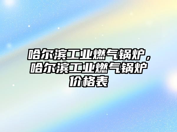 哈爾濱工業(yè)燃?xì)忮仩t，哈爾濱工業(yè)燃?xì)忮仩t價格表