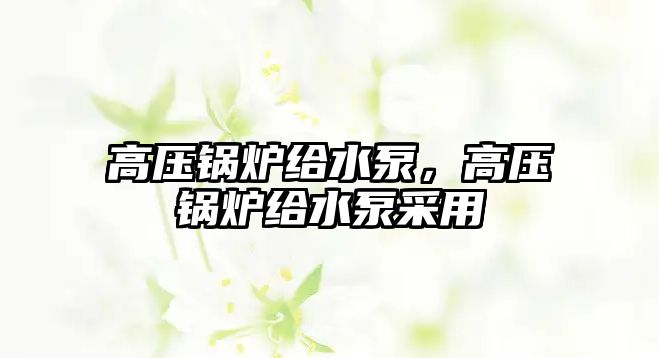 高壓鍋爐給水泵，高壓鍋爐給水泵采用