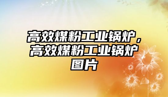 高效煤粉工業(yè)鍋爐，高效煤粉工業(yè)鍋爐圖片