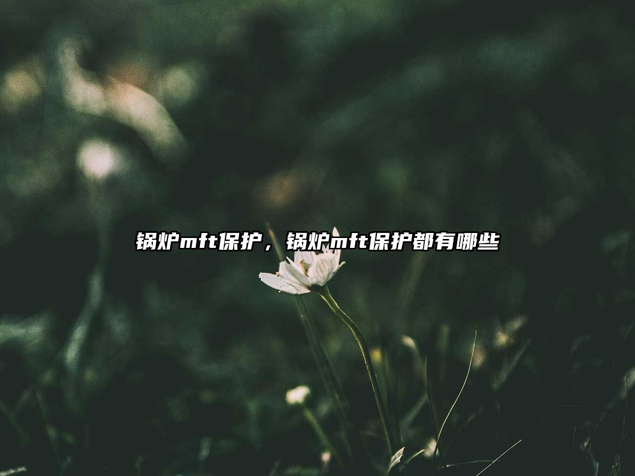 鍋爐mft保護，鍋爐mft保護都有哪些