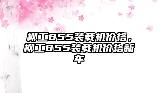 柳工855裝載機(jī)價格，柳工855裝載機(jī)價格新車