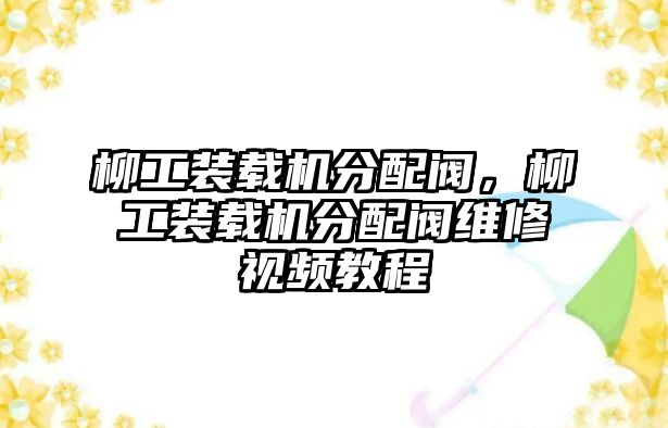 柳工裝載機(jī)分配閥，柳工裝載機(jī)分配閥維修視頻教程