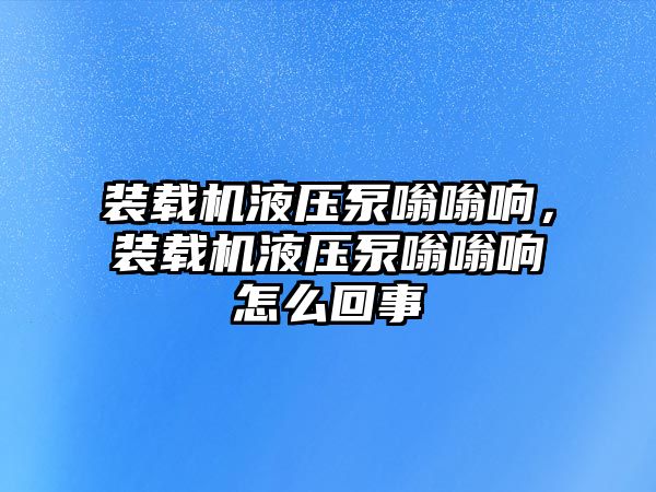 裝載機液壓泵嗡嗡響，裝載機液壓泵嗡嗡響怎么回事