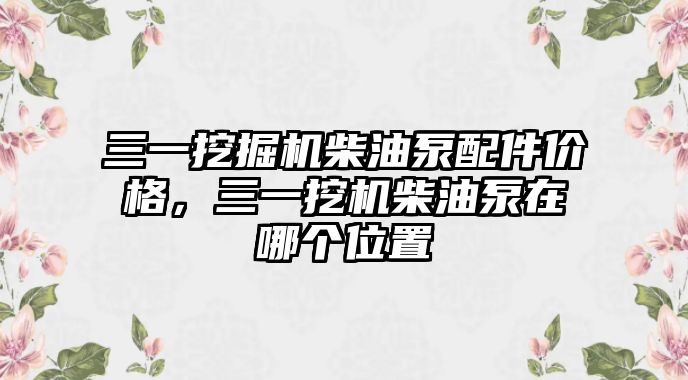 三一挖掘機柴油泵配件價格，三一挖機柴油泵在哪個位置