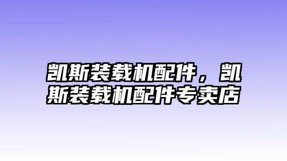 凱斯裝載機(jī)配件，凱斯裝載機(jī)配件專賣店