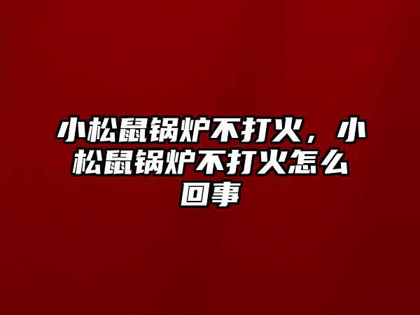 小松鼠鍋爐不打火，小松鼠鍋爐不打火怎么回事