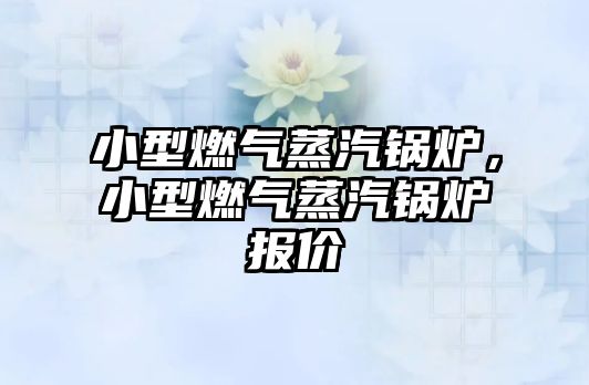 小型燃?xì)庹羝仩t，小型燃?xì)庹羝仩t報(bào)價(jià)