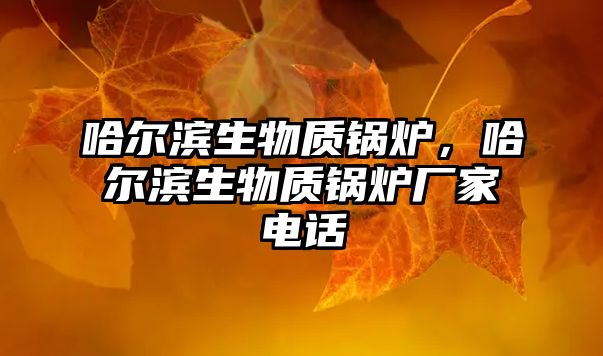 哈爾濱生物質(zhì)鍋爐，哈爾濱生物質(zhì)鍋爐廠家電話