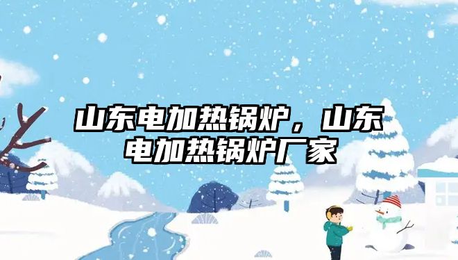 山東電加熱鍋爐，山東電加熱鍋爐廠家