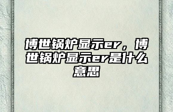 博世鍋爐顯示er，博世鍋爐顯示er是什么意思