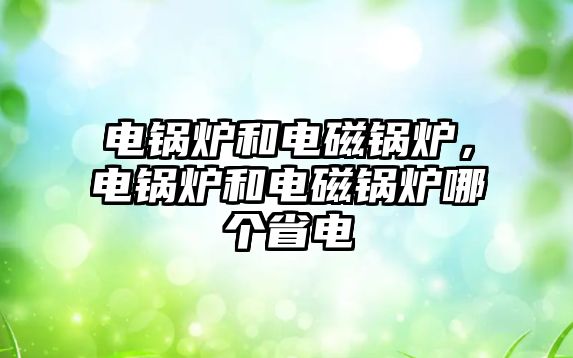 電鍋爐和電磁鍋爐，電鍋爐和電磁鍋爐哪個(gè)省電