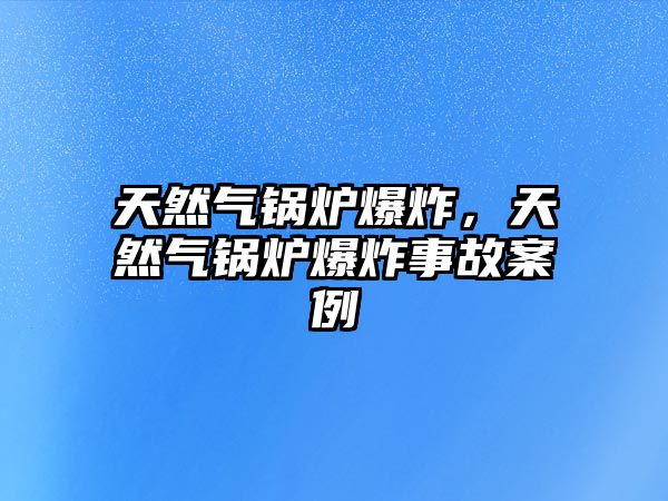 天然氣鍋爐爆炸，天然氣鍋爐爆炸事故案例