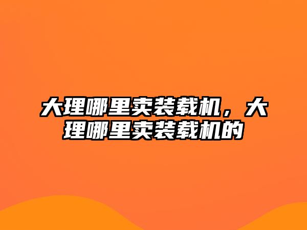 大理哪里賣裝載機，大理哪里賣裝載機的