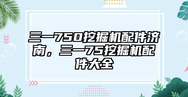 三一750挖掘機配件濟南，三一75挖掘機配件大全