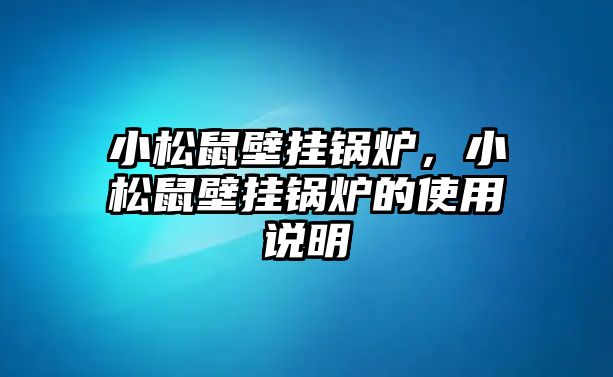 小松鼠壁掛鍋爐，小松鼠壁掛鍋爐的使用說明