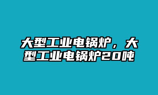 大型工業(yè)電鍋爐，大型工業(yè)電鍋爐20噸