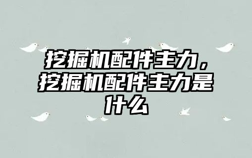 挖掘機配件主力，挖掘機配件主力是什么