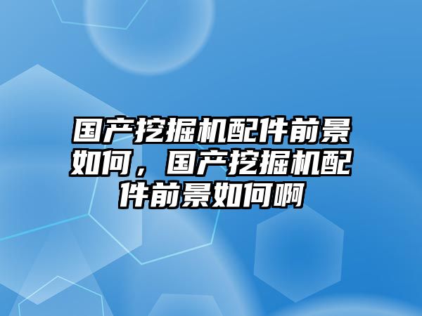 國產挖掘機配件前景如何，國產挖掘機配件前景如何啊