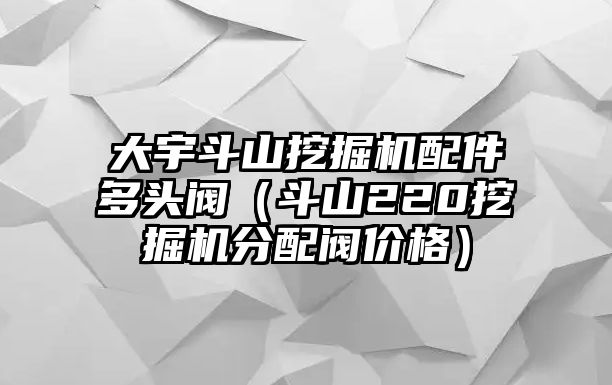 大宇斗山挖掘機配件多頭閥（斗山220挖掘機分配閥價格）