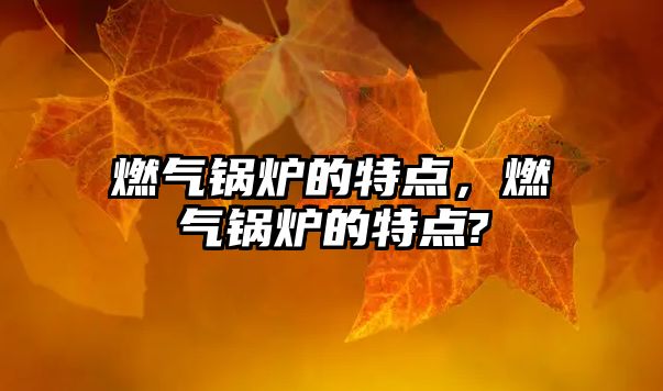 燃?xì)忮仩t的特點(diǎn)，燃?xì)忮仩t的特點(diǎn)?